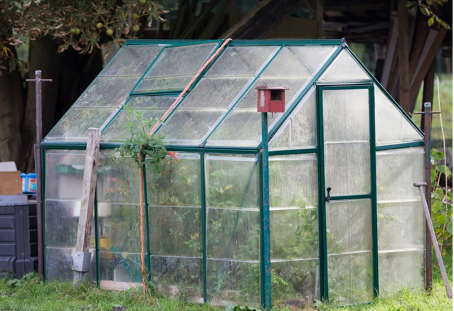 The Ultimate Growing Solution: Finding Greenhouses for Sale post thumbnail image