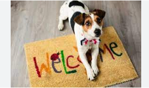 Pet-Friendly Pads: Home Sweet Home for You and Fido post thumbnail image