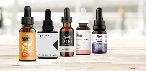 Finding the Best CBD Oil for Dogs: Reviews and Recommendations post thumbnail image