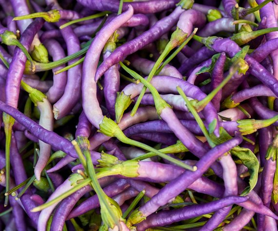 A Spicy Twist: Exploring the Unique Qualities of Purple Cayenne Pepper post thumbnail image