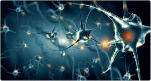 Evoke Neuroscience: Revolutionizing Cognitive Healthcare with Cutting-Edge EEG Technology post thumbnail image